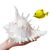ZooVenture Coquillages naturels pour décoration d'aquarium