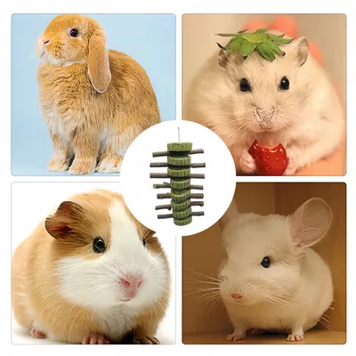 FurryFusion Gâteau d'herbe à mâcher pour petits animaux