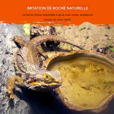 FurryFusion Bol d'eau pour reptiles