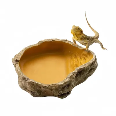 FurryFusion Bol d'eau pour reptiles FurryFusion Bol d'eau pour reptiles