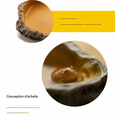 FurryFusion Bol d'eau pour reptiles