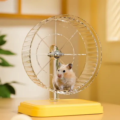 Pawzy Roue de course pour hamster