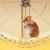 Pawzy Roue de course pour hamster