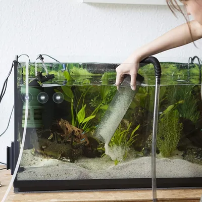 ZooVenture Ventouses transparentes pour aquarium