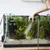ZooVenture Ventouses transparentes pour aquarium