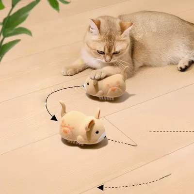 Zoomtopia Jouet électrique couineur pour chat