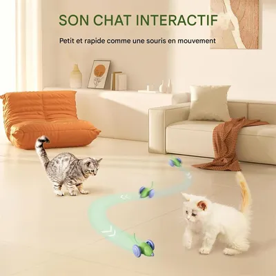 Rocky Jouet pour chat