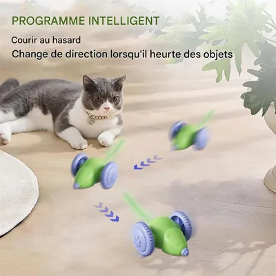 Rocky Jouet pour chat