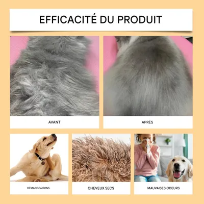 ZooVenture Shampoing pour chien
