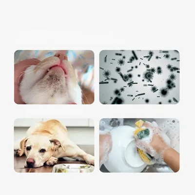 Rocky Mousse de vaisselle pour animaux de compagnie