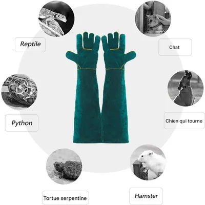 ZooVenture Gants Anti - Morsure Pour Chien Chat Oiseau Reptile