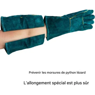 ZooVenture Gants Anti - Morsure Pour Chien Chat Oiseau Reptile
