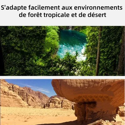 ZooVenture Thermohygromètre analogique pour reptiles et amphibiens