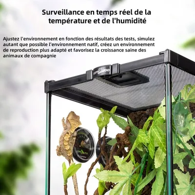 ZooVenture Thermohygromètre analogique pour reptiles et amphibiens