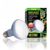 Rocky Ampoule de lumière de basking diurne