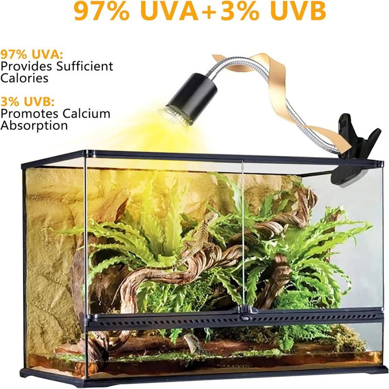 Rocky Lamp pour reptiles et tortues de compagnie