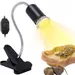 Rocky Lamp pour reptiles et tortues de compagnie