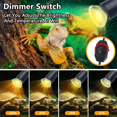 Rocky Lamp pour reptiles et tortues de compagnie