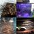 ZooVenture Panneaux en écorce pour reptiles