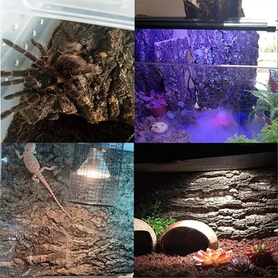 ZooVenture Panneaux en écorce pour reptiles