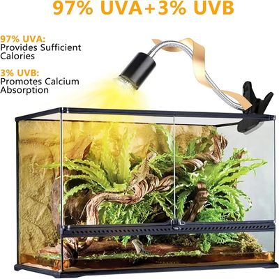 Rocky Lamp pour reptiles et tortues de compagnie