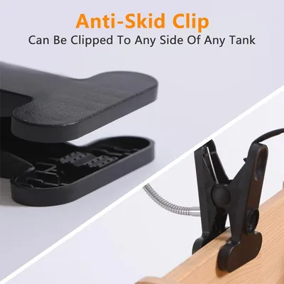 Rocky Lamp pour reptiles et tortues de compagnie