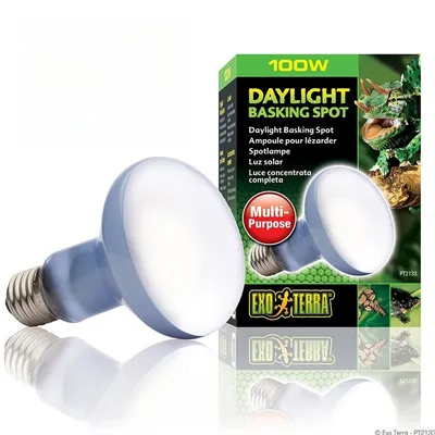 Rocky Ampoule de lumière de basking diurne