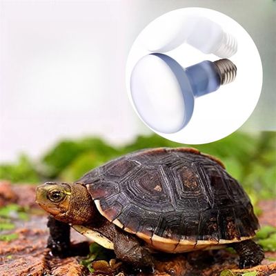 Rocky Ampoule de lumière de basking diurne