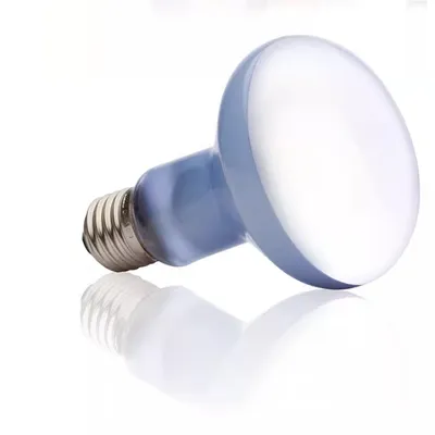 Rocky Ampoule de lumière de basking diurne