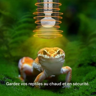 ZooVenture bande de protection pour lampes chauffantes reptiles sans lampe