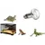 Rocky Intense Basking Spot Light Bulb for Reptiles and Amphibians