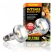 Rocky Intense Basking Spot Light Bulb for Reptiles and Amphibians