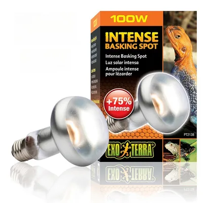 Rocky Intense Basking Spot Light Bulb for Reptiles and Amphibians