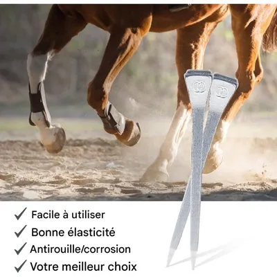 ZooVenture Cent clous de fer à cheval pour chevaux