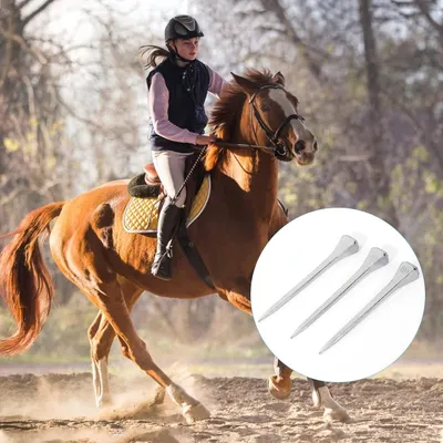 ZooVenture Cent clous de fer à cheval pour chevaux