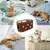 ZooVenture Niche pour chat