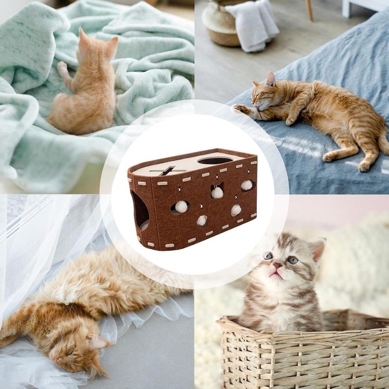 ZooVenture Niche pour chat