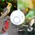 ZooVenture Griffoir en feutre pour chat