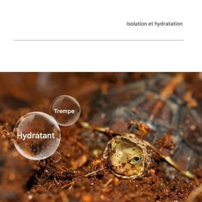 ZooVenture Litière en coque de coco pour reptiles et amphibiens