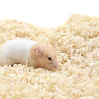 Rocky Litière en copeaux de bois pour petits animaux