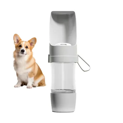 Rocky Bouteille d'eau pour chien