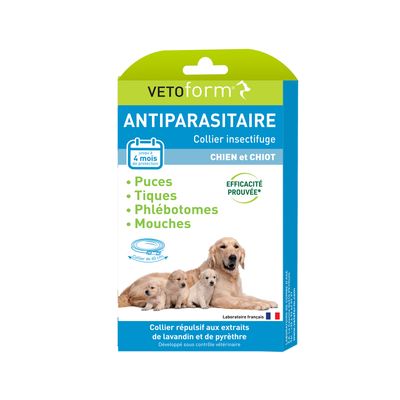 Antiparasitaire chien moyen