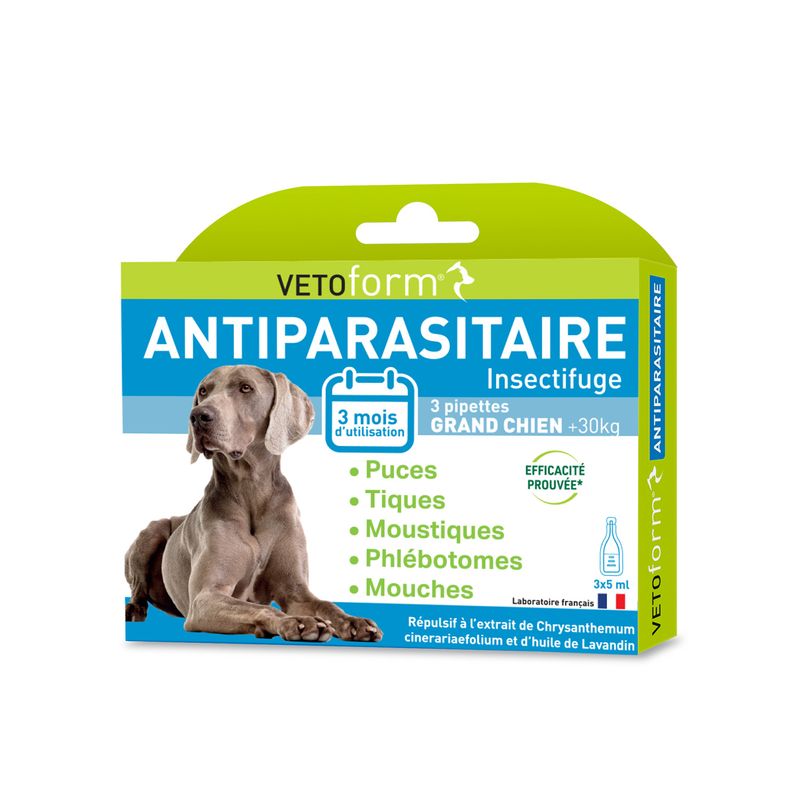 Antiparasitaire chien moyen