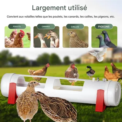 ZooVenture Biberon automatique pour volailles