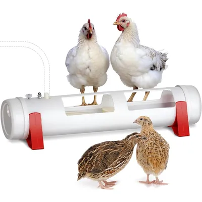 ZooVenture Biberon automatique pour volailles ZooVenture Biberon automatique pour volailles