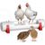 ZooVenture Biberon automatique pour volailles