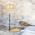 ZooVenture Mangeoire pour poulets