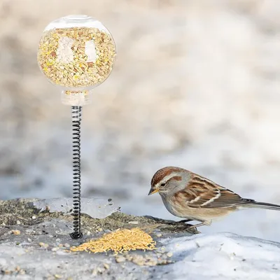 ZooVenture Mangeoire pour poulets