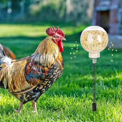 ZooVenture Mangeoire pour poulets