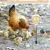 ZooVenture Mangeoire pour poulets